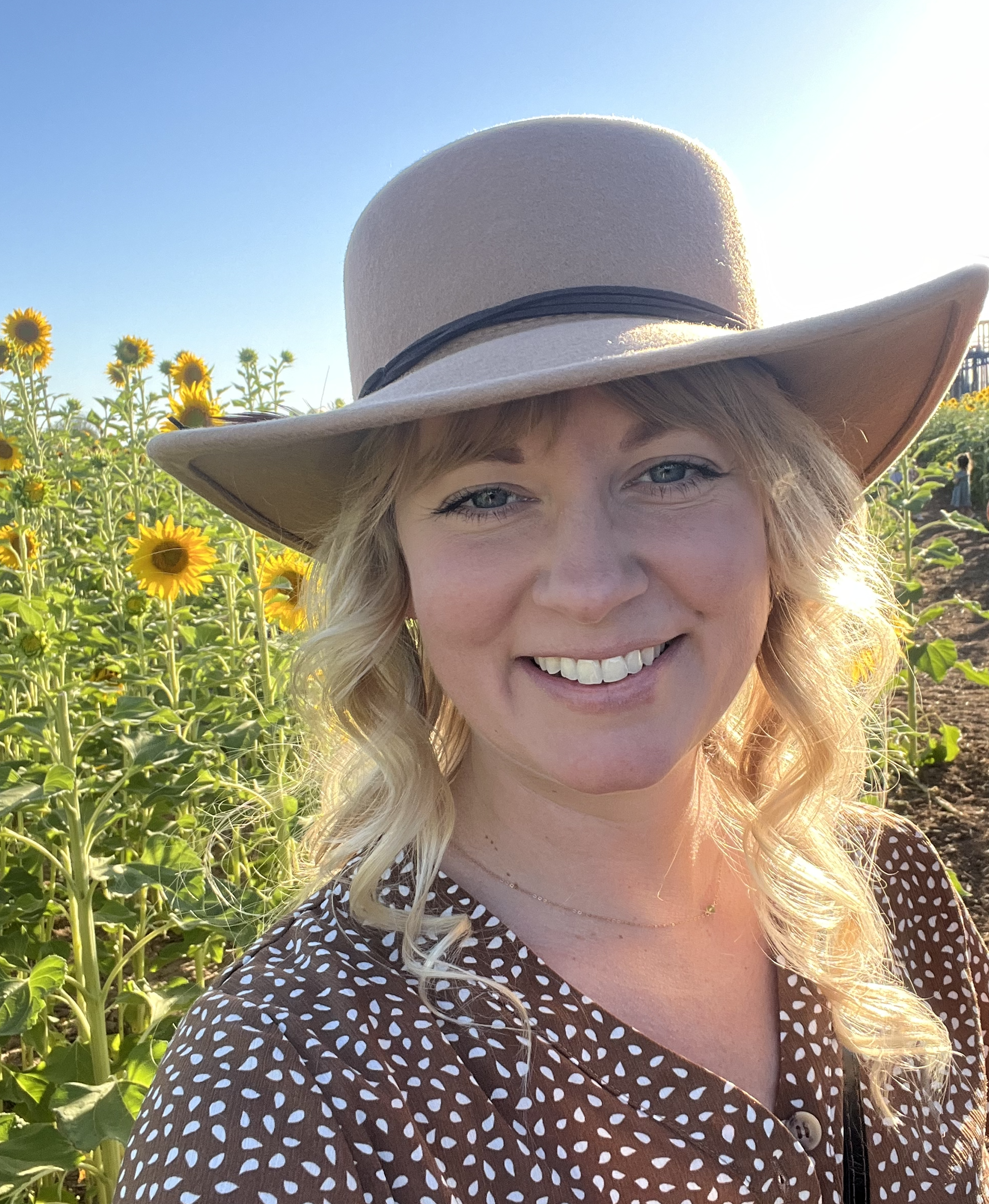 tarin in sunflower field